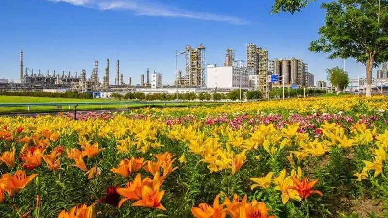 造纸助剂使用步骤详解：从基础知识到实际应用**