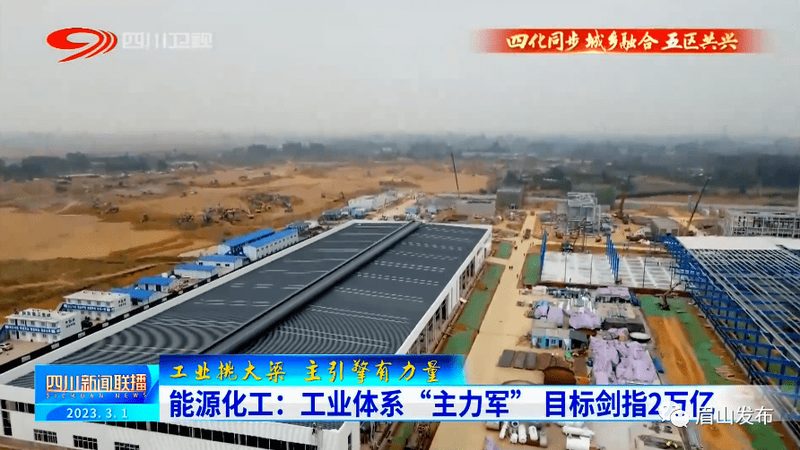 建筑用分散剂：揭秘十大品牌背后的技术实力**